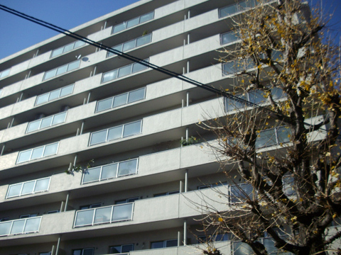 その他共用部 外観7