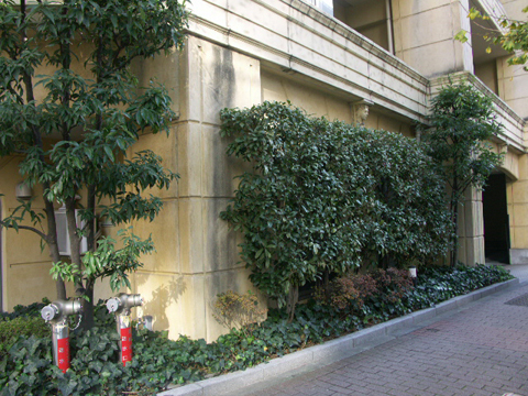 その他共用部 写真2