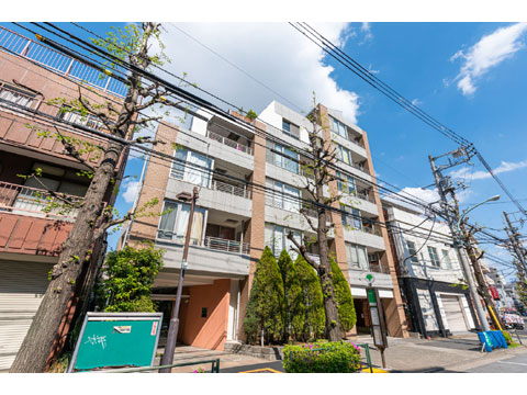 現地外観写真 外観5