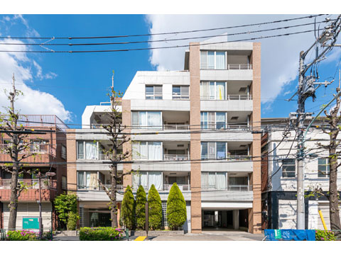 現地外観写真 外観6