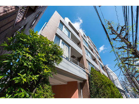 現地外観写真 外観7