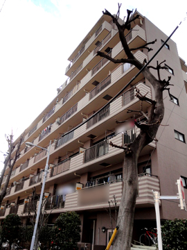 その他共用部 外観3