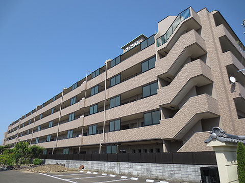 現地外観写真 外観