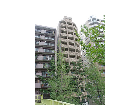 現地土地写真 DSC05794