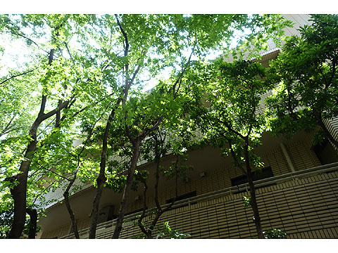 現地外観写真　外観６