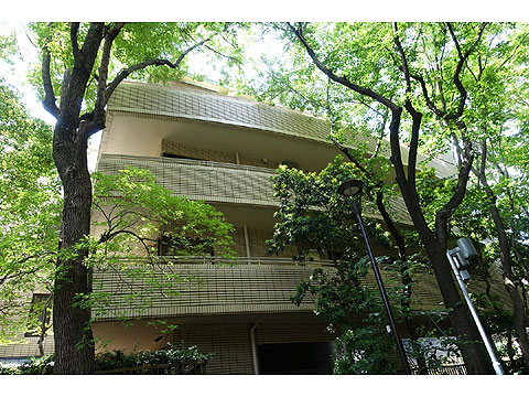 現地外観写真　外観７