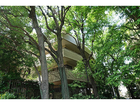 現地外観写真　外観８