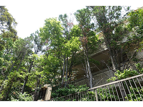 現地外観写真　外観９