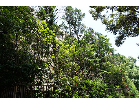 現地外観写真　外観１０