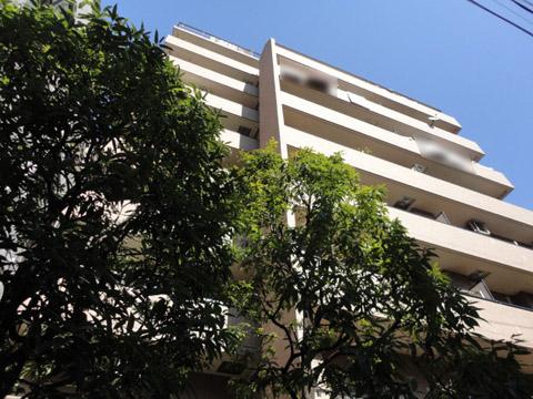 その他共用部　外観3