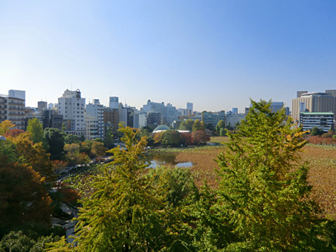 その他共用部 眺望