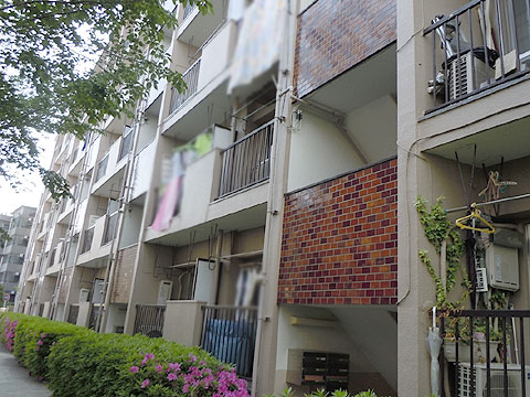 現地外観写真　外観