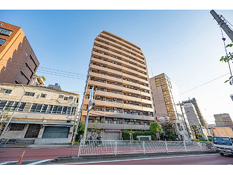 現地土地写真 現地外観写真