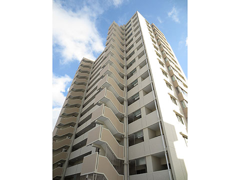 現地外観写真　北側からの現地外観