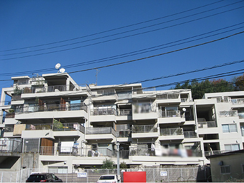 現地外観写真 外観