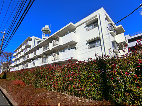 現地外観写真 外観