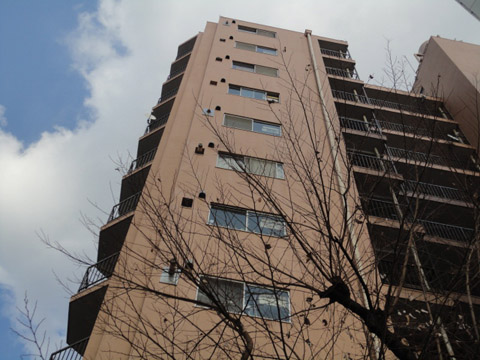 その他共用部 外観5