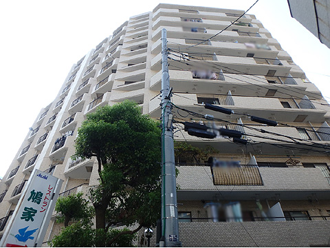 現地外観写真 外観