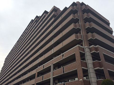 現地外観写真 外観