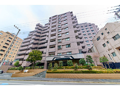 現地外観写真 外観