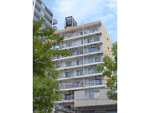 現地外観写真 外観(南側)