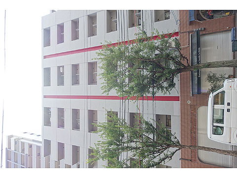 現地外観写真　DSC07889