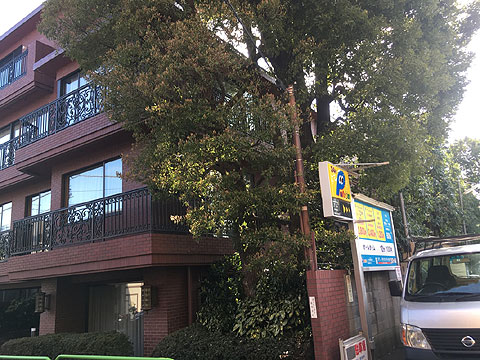 現地外観写真 外観