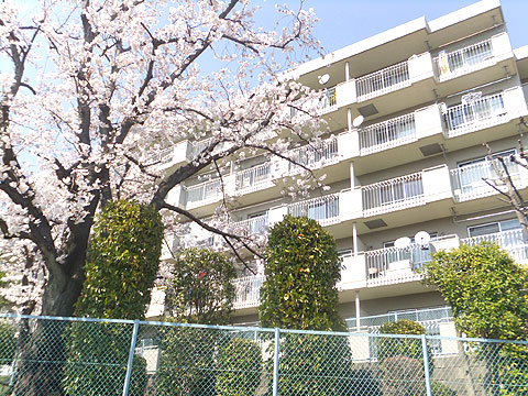 その他共用部　外観