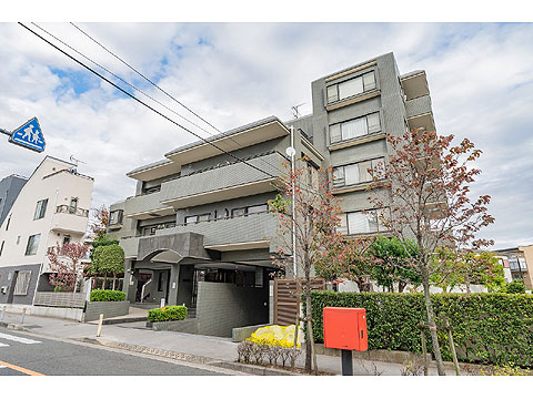 現地外観写真 外観