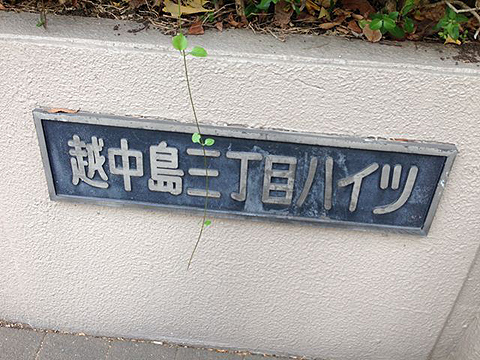 その他共用部　写真２