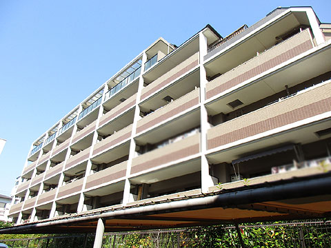 現地外観写真 外観