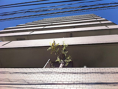 その他共用部 外観3