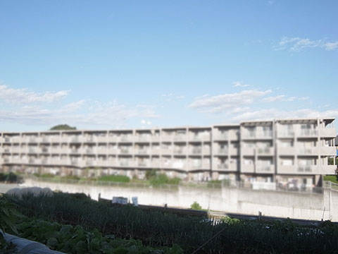 現地外観写真　R0050797