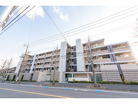 現地外観写真　北側の外観