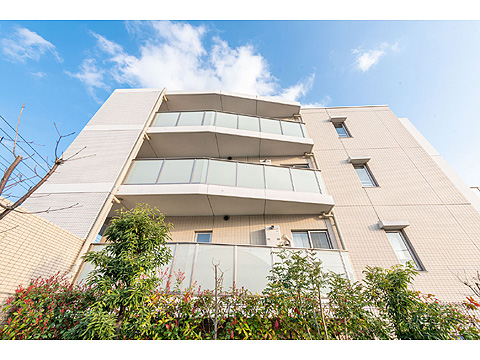 現地外観写真　外観見上げ