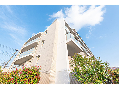 現地外観写真　外観　見上げ