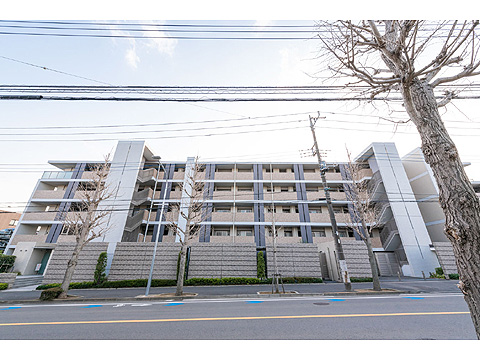 現地外観写真　総戸数４９戸