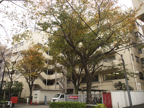 その他共用部　外観2