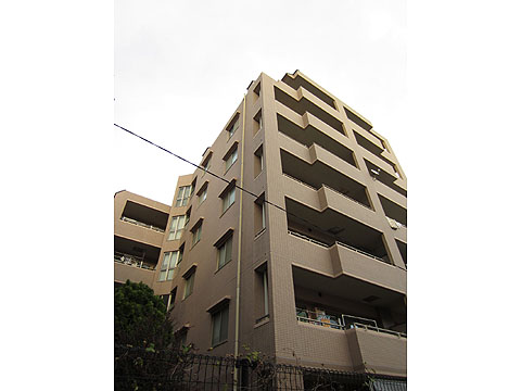 その他共用部 外観南側