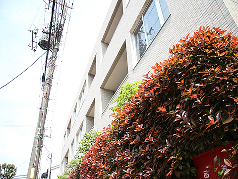 その他共用部　外観2