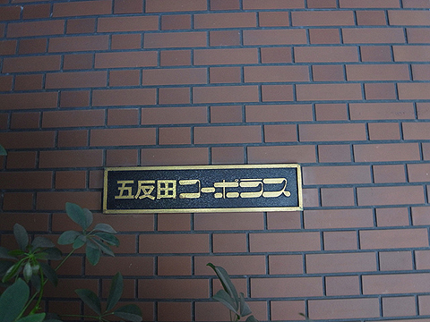 その他共用部 写真1