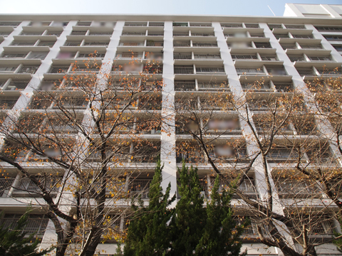 その他共用部　外観5