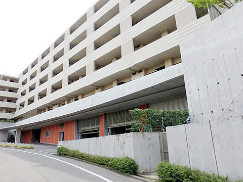 現地外観写真 外観