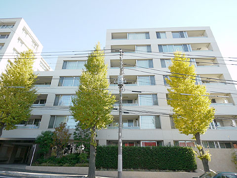 現地外観写真 外観