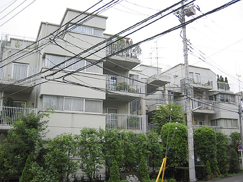 現地外観写真　外観