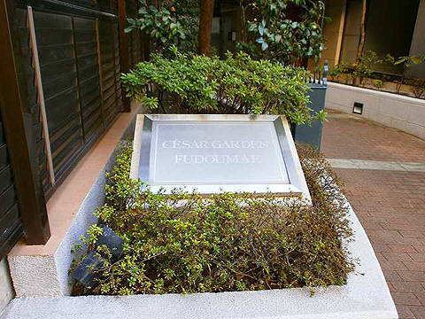 その他共用部　写真1