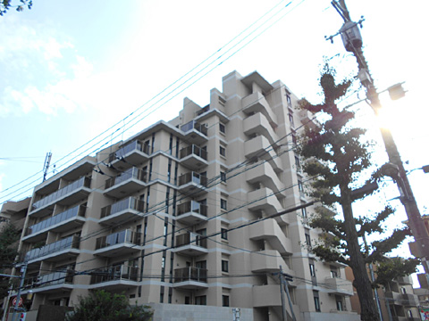 現地外観写真 外観