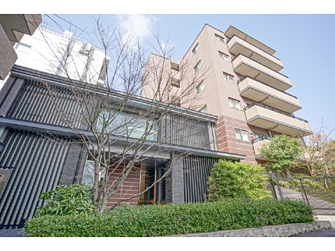 現地外観写真 外観