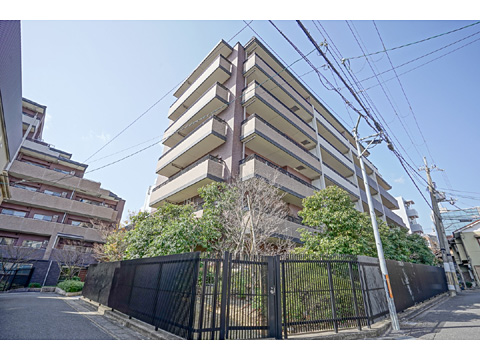 現地外観写真 外観