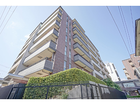 現地外観写真 外観